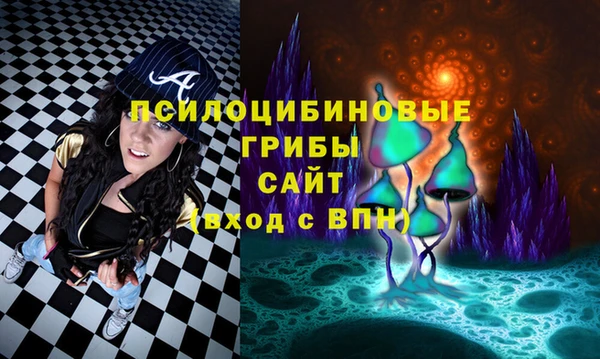 Альфа ПВП Аркадак