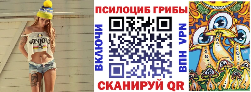 Купить закладки  Нижняя Салда  Галлюциногенные грибы Psilocybine cubensis 